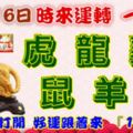 11月16日時來運轉一路發，虎龍雞鼠羊猴，88秒內打開，好運跟著來『16888』