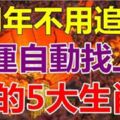 明年不用追財，財運會自動找上門的「五大生肖」，有你嗎？