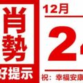 生肖運勢，天天好提示2018（12月24日）