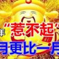 2019年一到，運勢好到「惹不起」的4個生肖，一月更比一月旺