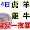 1月14日生肖運勢_虎、羊、兔大吉