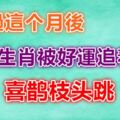 熬過這個月後，4大生肖被好運追著跑，喜鵲枝頭跳