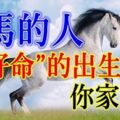 十馬九貴，屬馬的人「最好命」的出生月份，你家有嗎~