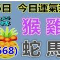 1月26日,十二屬相運氣(今日我最旺,時來運轉668)