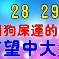 1月27，28，29號，這七大生肖踩了「狗屎運」發橫財中大獎，有望一夜暴富