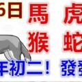 2月6日生肖運勢_馬、虎、兔大吉