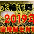 風水輪流轉，今年輪到你，2019年也該這個生肖發財了