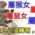 屬猴女，屬豬女，屬鼠女，屬龍女，2月11日必須轉啊！