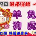 2月19日時來運轉一路發，羊兔猴狗虎雞，88秒內打開，好運跟著來『16888』