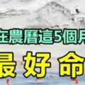 出生在農曆「這5個月」的人最好命，一生富貴又幸福！