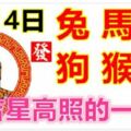 3月14日生肖運勢_兔、馬、虎大吉