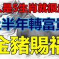 愛人是5生肖就很走運，就像家有「金豬賜福」，上半年轉富貴