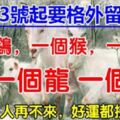 3月23號開始，一個雞，一個猴，一個龍，一個？，一個兔。