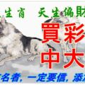 天生偏財運好，能通過買彩票中大獎的四大生肖！一定要信，添加財運