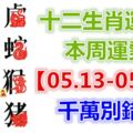 十二生肖運勢：本周運勢【05.13-05.19】千萬別錯失！