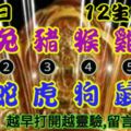 2019年7月9日，星期二，農歷六月初七（己亥年辛未月丁未日）