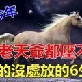 熬過今年啥都好，今年還債苦呵呵，明年發財美滋滋的六大生肖