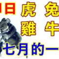 7月1日生肖運勢_虎、兔、羊大吉