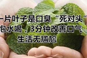 一片葉子是口臭「死對頭」，泡水喝，3分鐘改善口氣，生活無尷尬