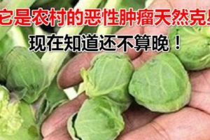 它是農村的惡性腫瘤天然剋星，現在知道還不算晚！