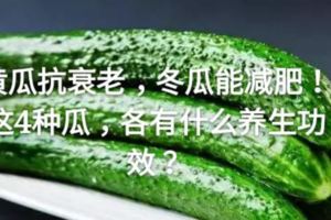 黃瓜抗衰老，冬瓜能減肥！這4種瓜，各有什麼養生功效？