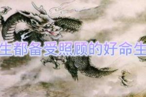 一生都備受照顧的好命生肖