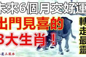 未來6個月交好運，出門見喜的3大生肖！
