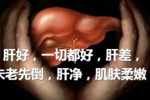 肝好，一切都好，肝差，未老先倒，肝淨，肌膚柔嫩
