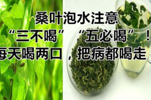 桑葉泡水注意「三不喝」，「五必喝」！每天喝兩口，把病都喝走！