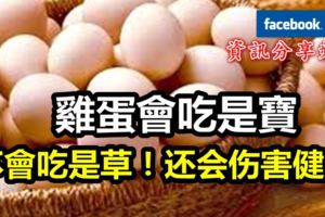 雞蛋會吃是寶，不會吃是草！