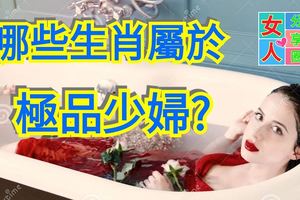 哪些生肖屬於極品少婦