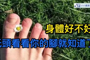 身體好不好？低頭看看你的腳就知道了！