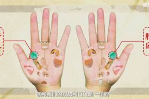 健康之路｜你的身體健康嗎？看看手掌就知道！