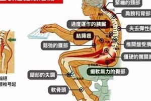 久坐的傷害這麼大，嚇得我從椅子上彈起來~