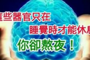 這些器官只在睡覺時才能休息，你卻熬夜！不病才怪！
