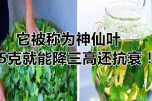 它被稱為神仙葉，5克就能降三高還抗衰！