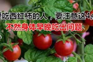 愛吃西紅柿的人，要注意這4點，不然身體早晚吃出問題