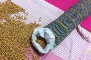自製黃豆枕頭一個可對頸部小關節的紊亂和韌帶、肌肉痙攣產生良好的按摩作用，有助緩解、防治頸源性頭痛。