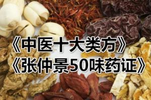 千古奇方半夏瀉心湯《中醫十大類方》《張仲景50味藥證》