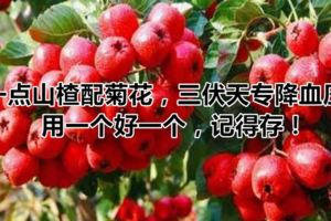 一點山楂配菊花，三伏天專降血壓，用一個好一個，記得存！