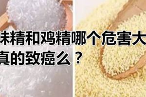 味精和雞精哪個危害大？真的致癌麼？
