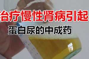治療慢性腎病引起蛋白尿的中成藥適應症：清利濕熱，解毒消腫。用於慢性腎炎之濕熱證