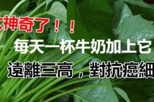 每天一杯牛奶加上它，痛風不見了！還遠離三高，對抗癌細胞！太神奇了！