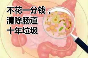 不花一分錢，清除腸道十年垃圾