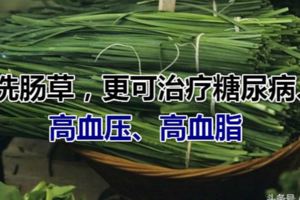 它叫洗腸草，更可治療糖尿病、高血壓、高血脂