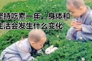 堅持吃素一年，身體和生活會發生什麼變化