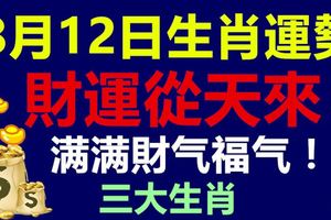 8月12日生肖運勢前三，財運從天來，大量財富收益進口袋