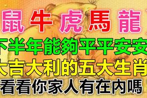 下半年能夠平平安安大吉大利的五大生肖！看看你家人有在內嗎？