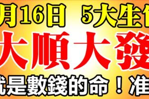 8月16日開始，這5大生肖大順大發，就是數錢的命！