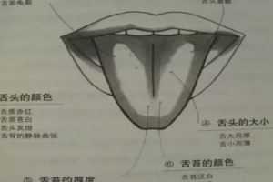中醫望診版「易筋經」，一看就明白！